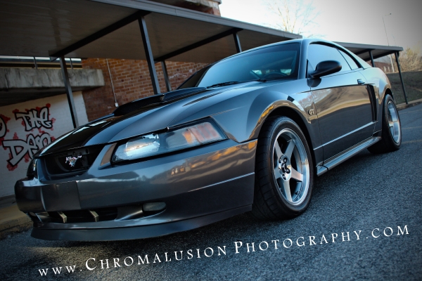 Stephanis 2003 Mustang DSG GT_15