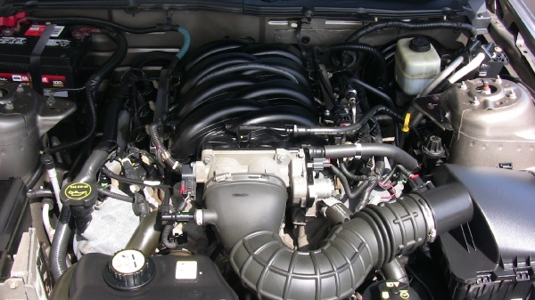 For Sale 2005 Ford Mustang GT_8