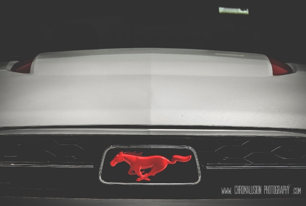 Elizabeth Marcum with her Mustang - Photos by Chromalusion Photography