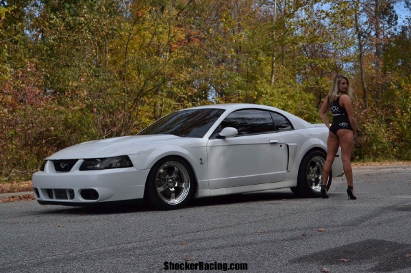 Bianca Thomas for ShockerRacingGirls with a Terminator Cobra