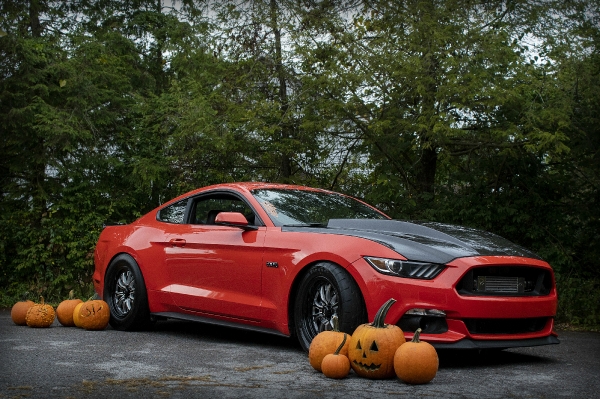 Bex Russ for ShockerRacing Hallowen 2019